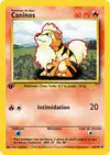 Carte Caninos 28/102