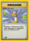 Carte Rafale de vent 93/102