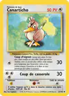 Carte Canarticho 27/102