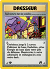 Carte Raid nocturne dans les poubelles 77/82