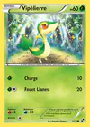 Carte Vipélierre 1/114