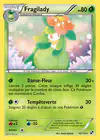 Carte Fragilady 10/114