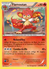 Carte Flamoutan 22/114