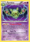 Carte Symbios 57/114