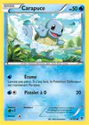 Carte Carapuce 14/101