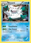 Carte Blizzaroi 26/101