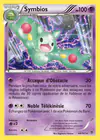 Carte Symbios 44/101