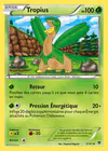 Carte Tropius 5/101