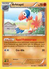 Carte Arkéapti 53/101