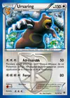 Carte Ursaring 76/101