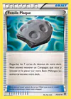 Carte Fossile Plaque 79/101