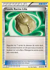 Carte Fossile Racine Lilia 87/101