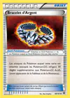 Carte Bracelet d'Argent 88/101