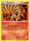 Carte Feunard 21/113