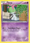 Carte Tarsal 59/113