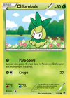 Carte Chlorobule 13/98