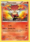 Carte Flamoutan 17/101
