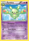 Carte Symbios 52/101