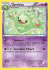 Carte Symbios 53/101