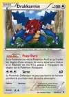 Carte Drakkarmin 89/101