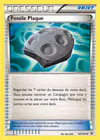 Carte Fossile Plaque 90/101