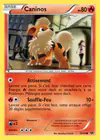 Carte Caninos 10/99