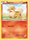 Carte Caninos 11/99