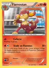 Carte Flamoutan 16/99