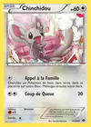 Carte Chinchidou 84/99