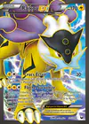 Carte Raikou EX 105/108