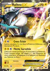 Carte Raikou EX 38/108