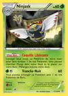 Carte Ninjask 11/124