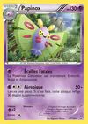 Carte Papinox 47/124