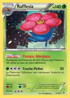 Carte Rafflesia 3/149