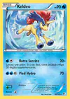 Carte Keldeo 48/149