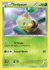 Carte Tortipouss 1/135