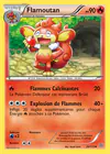 Carte Flamoutan 20/135
