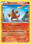 Carte Aflamanoir 23/135