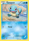 Carte Carapuce 24/135