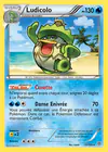 Carte Ludicolo 31/135