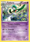 Carte Gallame 61/135