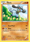 Carte Riolu 76/135