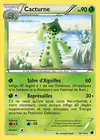 Carte Cacturne 10/116