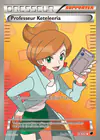 Carte Professeur Keteleeria 116/116