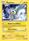 Carte Pachirisu 37/116
