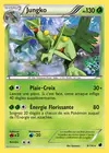 Carte Jungko 8/116