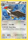 Carte Étouraptor 97/116