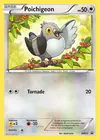 Carte Poichigeon BW15/
