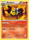 Carte Roitiflam BW21/