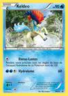 Carte Keldeo BW60/